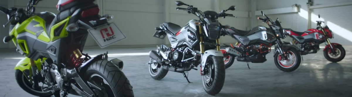 2017 Honda GROM 125 for sale in Van Wall Powersports, Indianola, Iowa